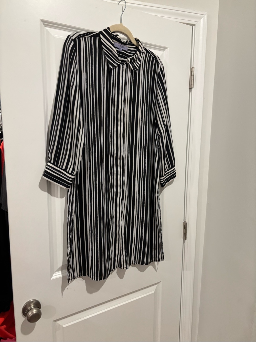 Premise shirt dress